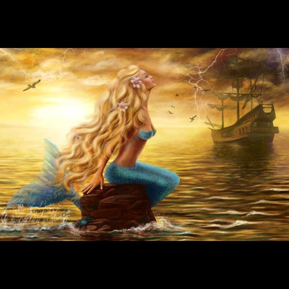 Meet your Posher, Alycia